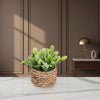 Artificial Eucalyptus Potted Plant