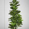 Artificial Fiddle Leaf Fig Tree