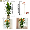 Artificial Tropical Plant Set – Banana Tree & Birds of Paradise (3 Pieces)