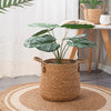 Rattan Woven Floor Planter Basket