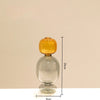 Double-Layer Colored Glass Vase