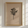 Minimalist Floral & Botanical Canvas Print