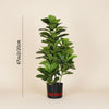 Artificial Fiddle Leaf Fig Tree