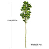 Artificial Ficus Tree | 76cm & 115cm