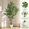 Faux Black Olive Tree in White Pot