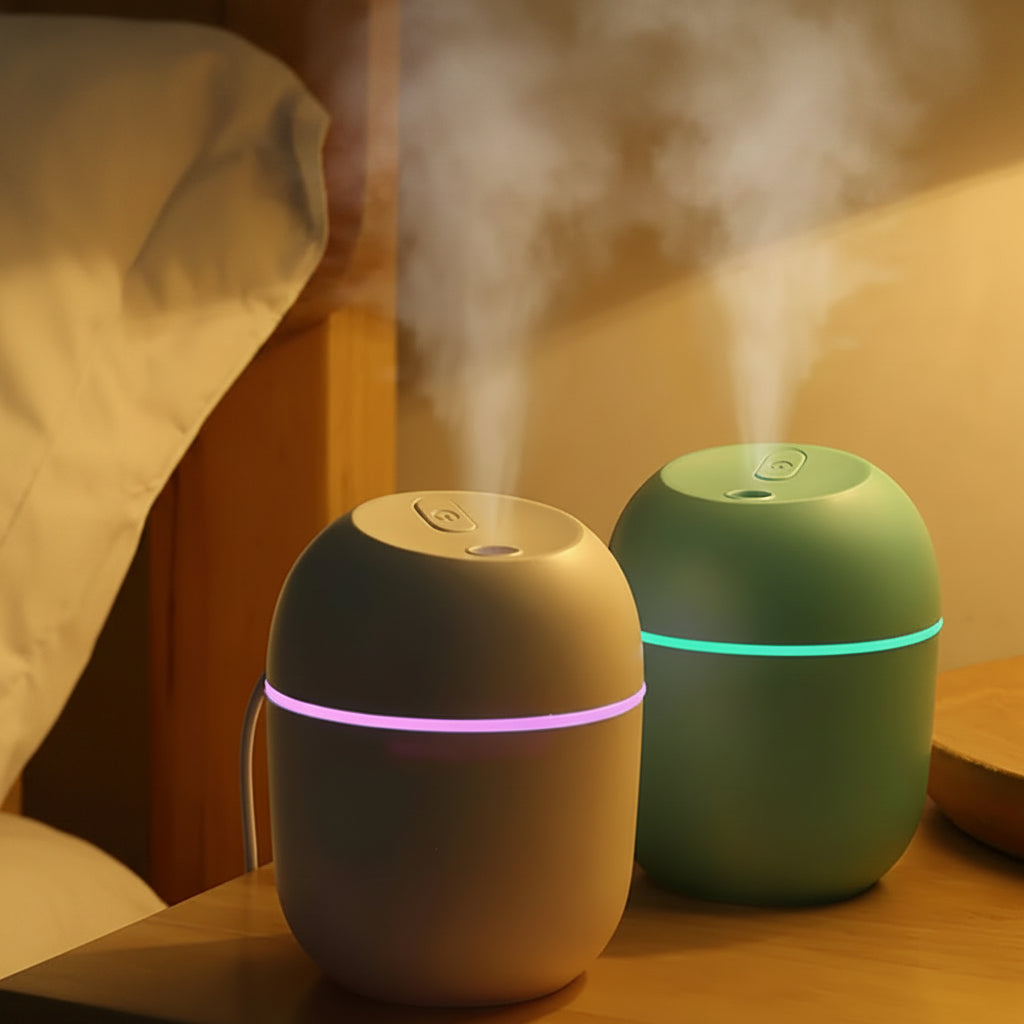 Egg Humidifier & Aroma Diffuser | USB Mini Air Humidifier with LED Night Light