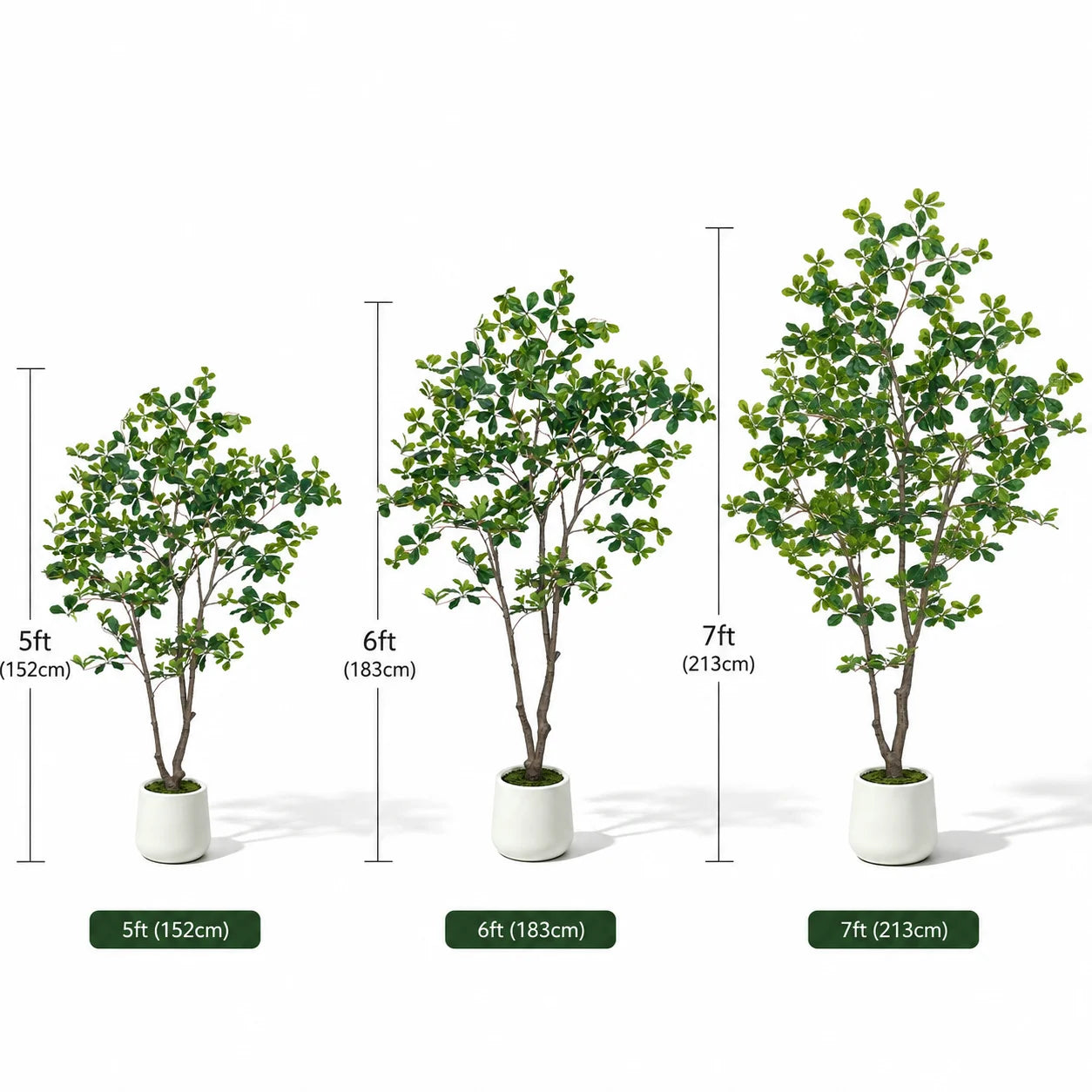 Faux Black Olive Tree in White Pot
