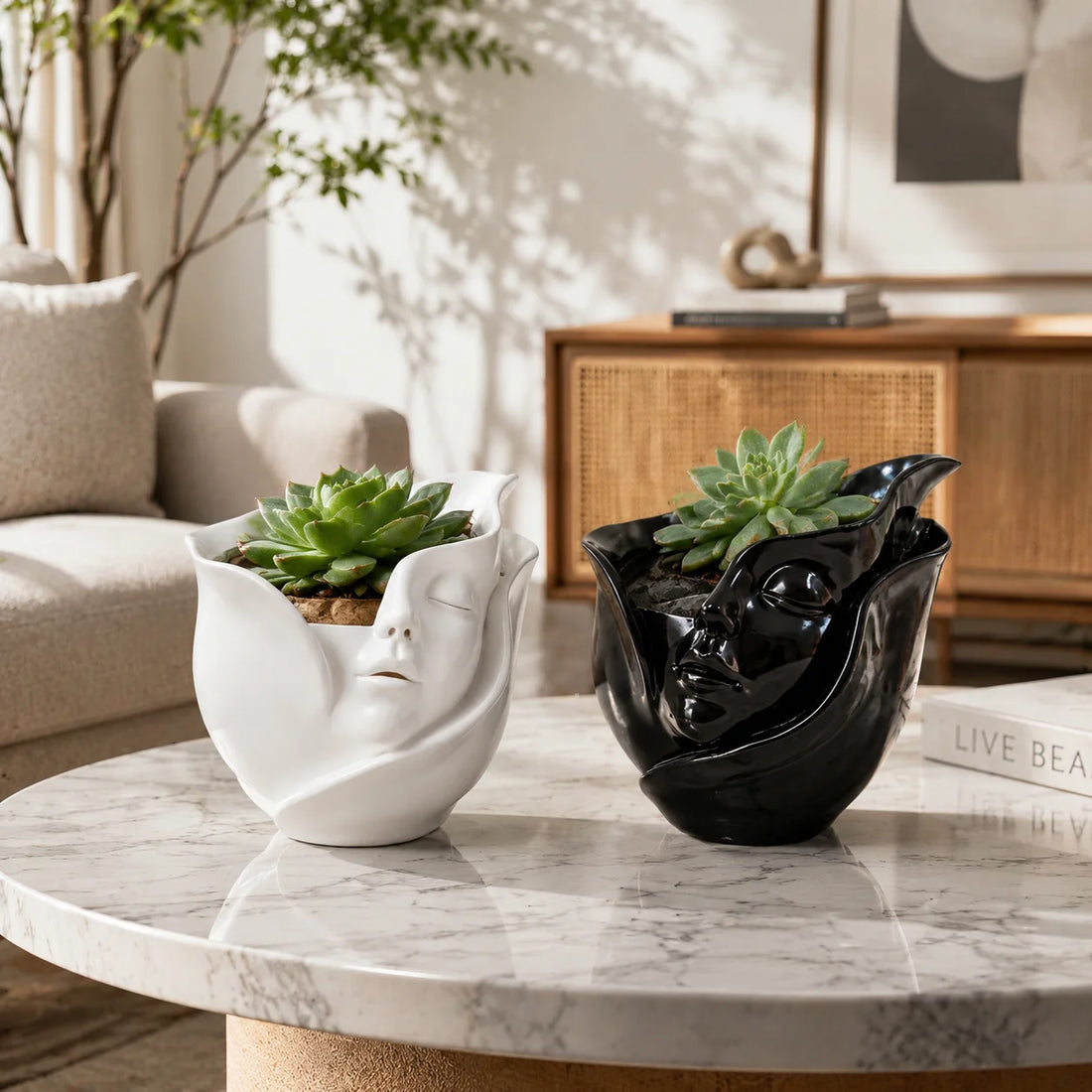 Resin Face Planter & Succulent Pot