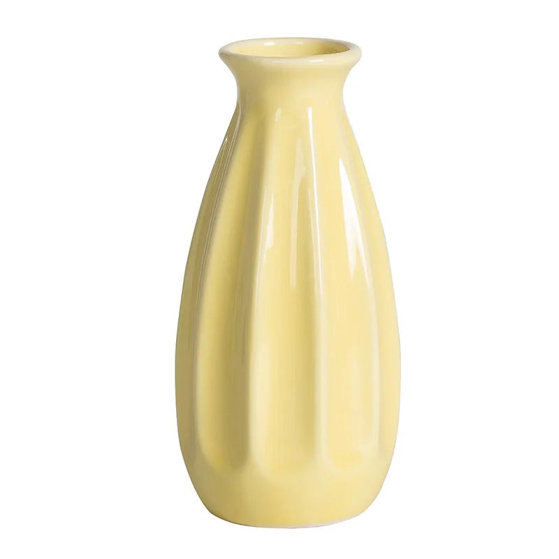 Mini Ceramic Hydroponic Vase