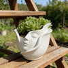 Resin Face Planter & Succulent Pot