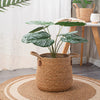 Rattan Woven Floor Planter Basket