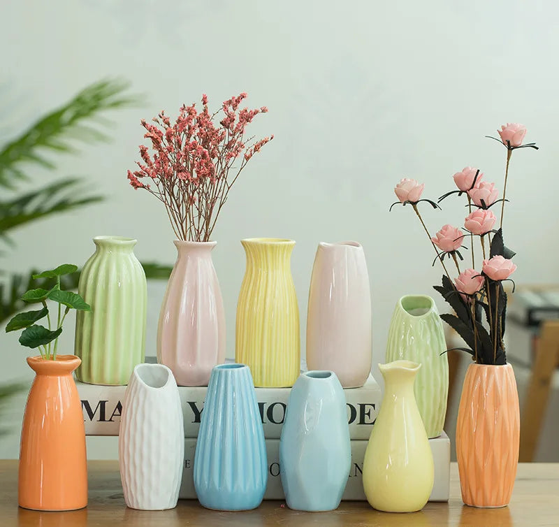 Mini Ceramic Hydroponic Vase