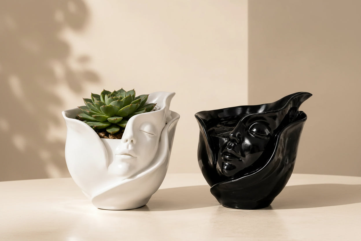 Resin Face Planter & Succulent Pot
