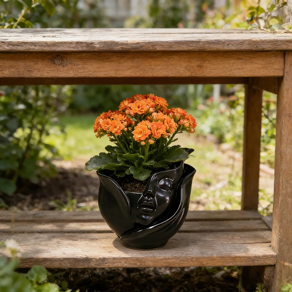 Resin Face Planter & Succulent Pot