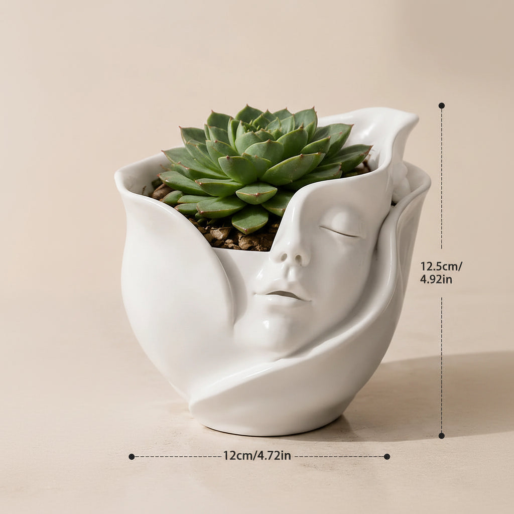 Resin Face Planter & Succulent Pot