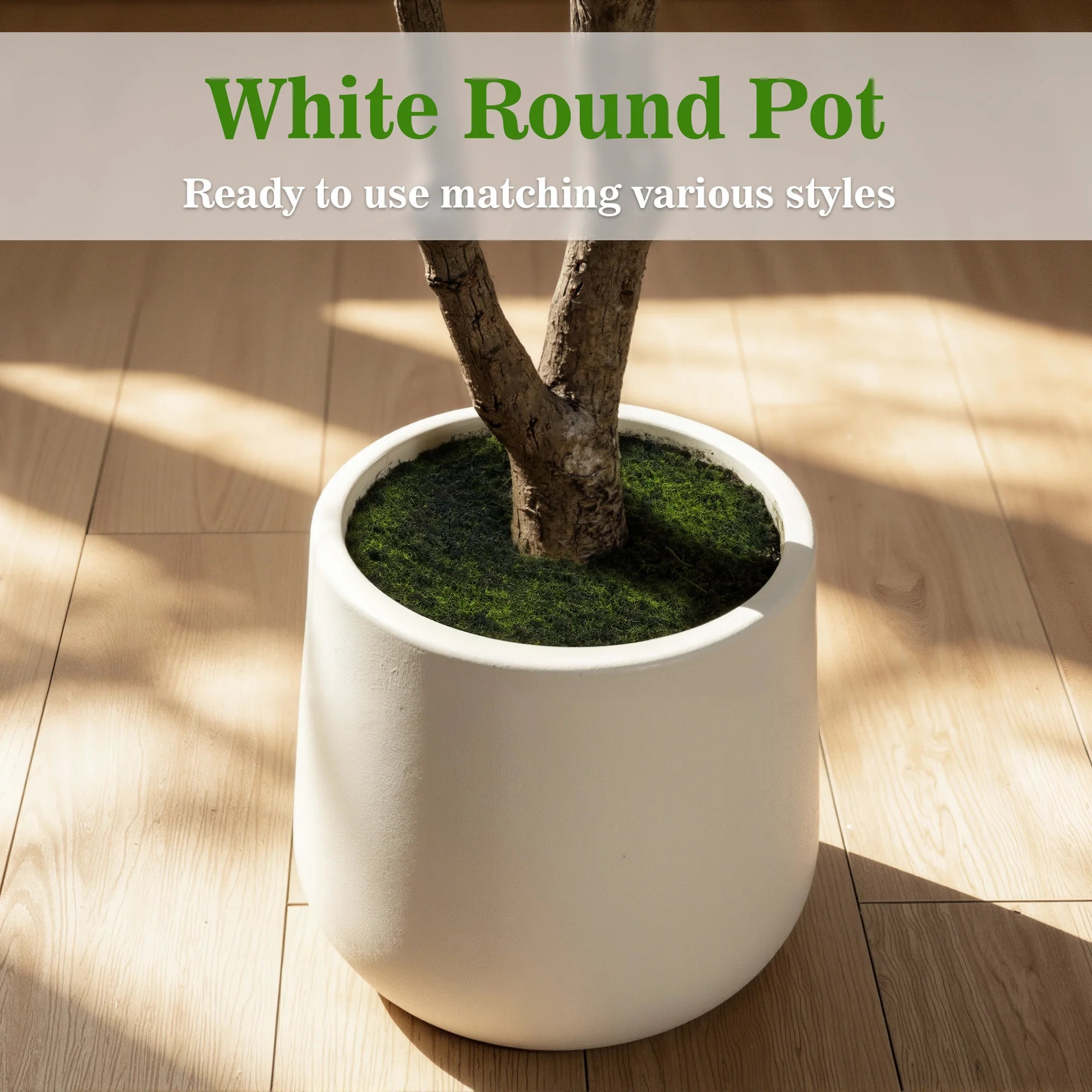 Faux Black Olive Tree in White Pot