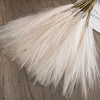 Faux Pampas Grass Stems | Boho Vase Filler Decor